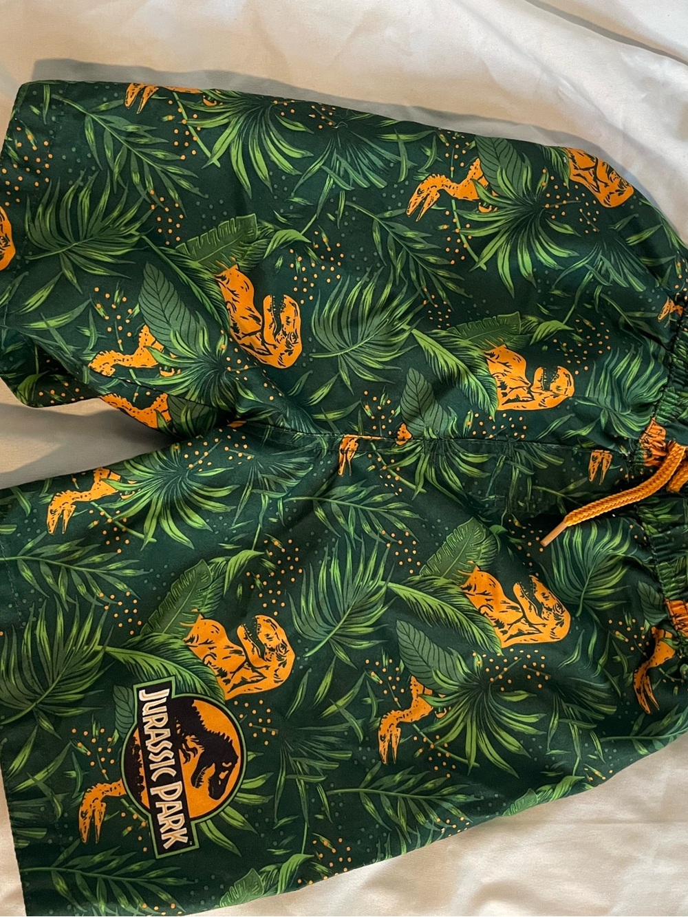 Jurassic Park Tropical size 5T Leaf Swim Trunks - Green & Orange